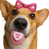 💋 Эмодзи «Песики» для Telegram