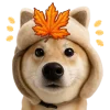 🍁 Эмодзи «Песики» для Telegram