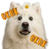 🤯 Эмодзи «Песики» для Telegram