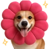 🌺 Эмодзи «Песики» для Telegram