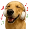 🎶 Эмодзи «Песики» для Telegram
