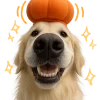 🎃 Эмодзи «Песики» для Telegram