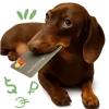 🌱 Эмодзи «Песики» для Telegram