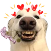 😘 Эмодзи «Песики» для Telegram