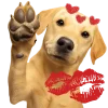💋 Эмодзи «Песики» для Telegram