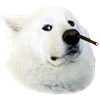 🤒 Эмодзи «С собачками» для Telegram
