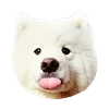 🤒 Эмодзи «С собачками» для Telegram