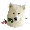 Эмодзи С собачками для Telegram — скачать
