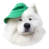 🤒 Эмодзи «С собачками» для Telegram