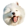 🤒 Эмодзи «С собачками» для Telegram
