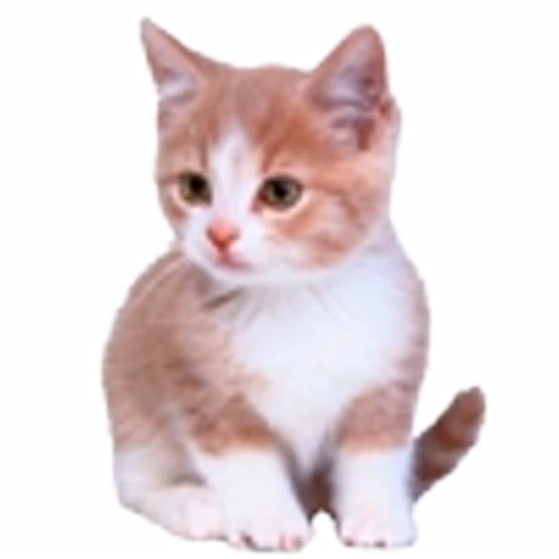 🤒 Эмодзи «С котятами» для Telegram