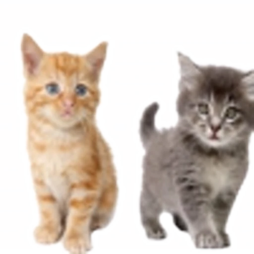 🤒 Эмодзи «С котятами» для Telegram