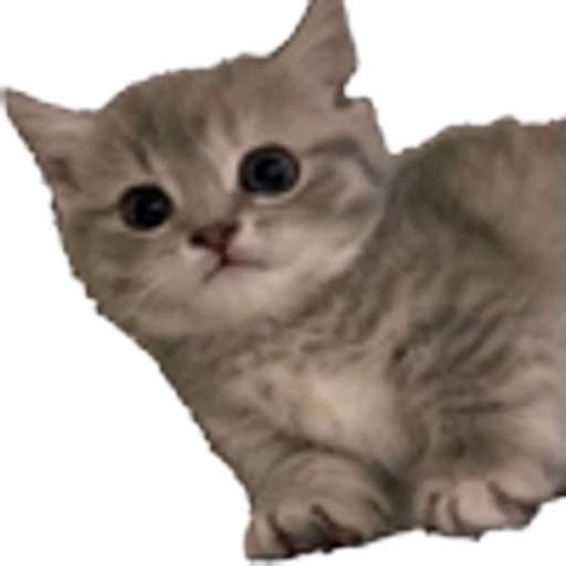 🤒 Эмодзи «С котятами» для Telegram