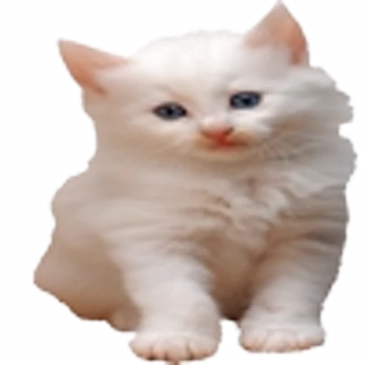 🤒 Эмодзи «С котятами» для Telegram