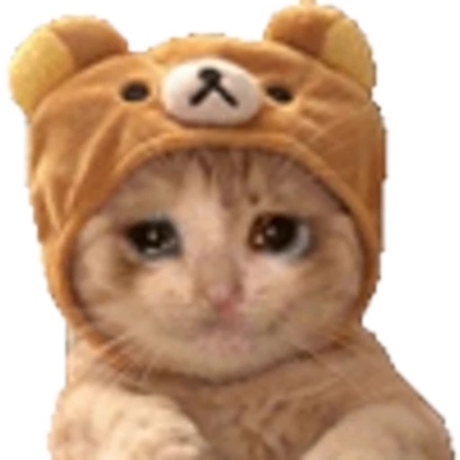 🤒 Эмодзи «С котятами» для Telegram