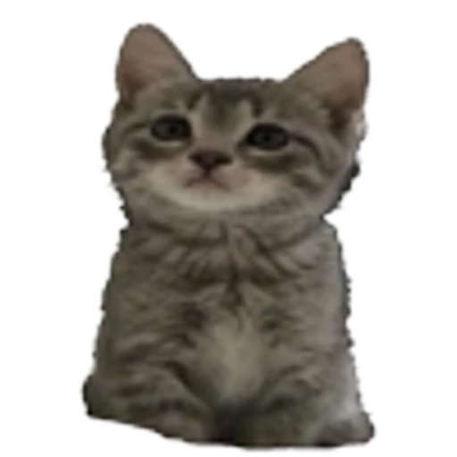 🤒 Эмодзи «С котятами» для Telegram