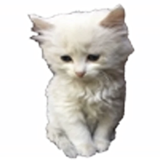 🤒 Эмодзи «С котятами» для Telegram