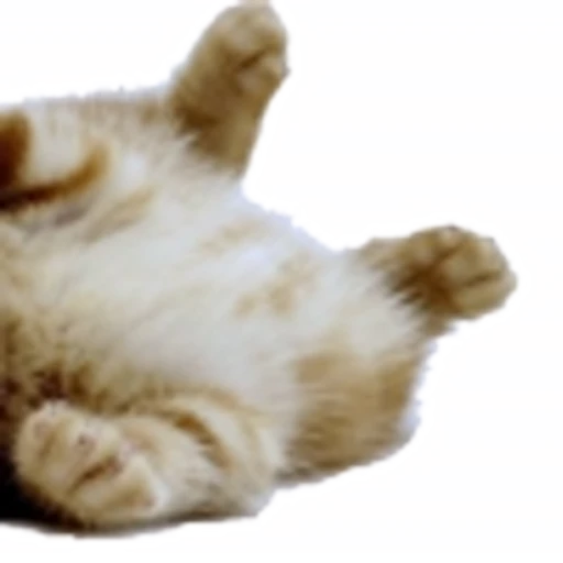 🤒 Эмодзи «С котятами» для Telegram
