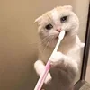 🤒 Эмодзи «С кошечками» для Telegram