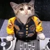 🤒 Эмодзи «С кошечками» для Telegram