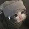 🤒 Эмодзи «С кошечками» для Telegram