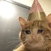 🤒 Эмодзи «С кошечками» для Telegram
