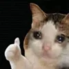 🤒 Эмодзи «С кошечками» для Telegram