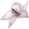Стикер 11 𝜗𝜚