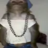 Стикер 40 Monkeys