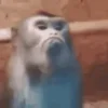 Стикер 22 Monkeys