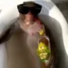 Стикер 36 Monkeys