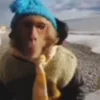 Стикер 23 Monkeys