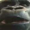 Стикер 26 Monkeys