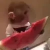 Стикер 35 Monkeys