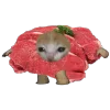 😘 Эмодзи «Кот Шрёдингера» для Telegram