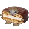 🤪 Эмодзи «Кот Шрёдингера» для Telegram