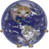 😘 Эмодзи «Кот Шрёдингера» для Telegram