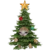🥰 Эмодзи «Кот Шрёдингера» для Telegram