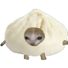 🥸 Эмодзи «Кот Шрёдингера» для Telegram