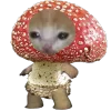 🐈‍⬛ Эмодзи «Кот Шрёдингера» для Telegram