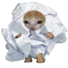 😝 Эмодзи «Кот Шрёдингера» для Telegram