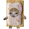😜 Эмодзи «Кот Шрёдингера» для Telegram
