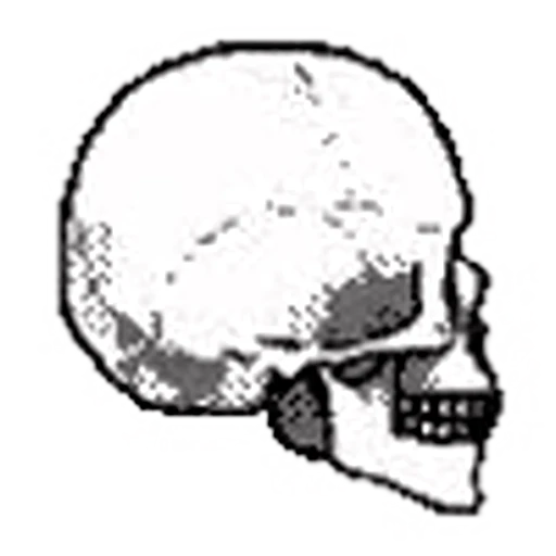 💀 Эмодзи «emojipremium 2k 16» для Telegram