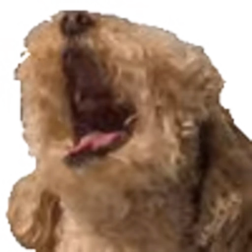 🐶 Эмодзи «emojipremiumbredf» для Telegram
