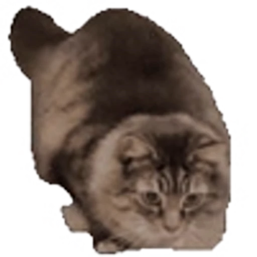 🐈 Эмодзи «emojipremiumbredf» для Telegram