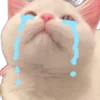 😭 Эмодзи «emojipremiumjpgs» для Telegram