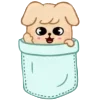 Стикер 18 Skzoo