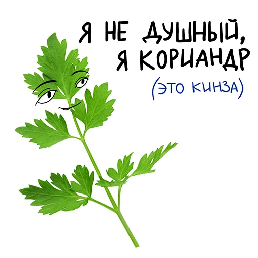Стикер 6 JapBIZral