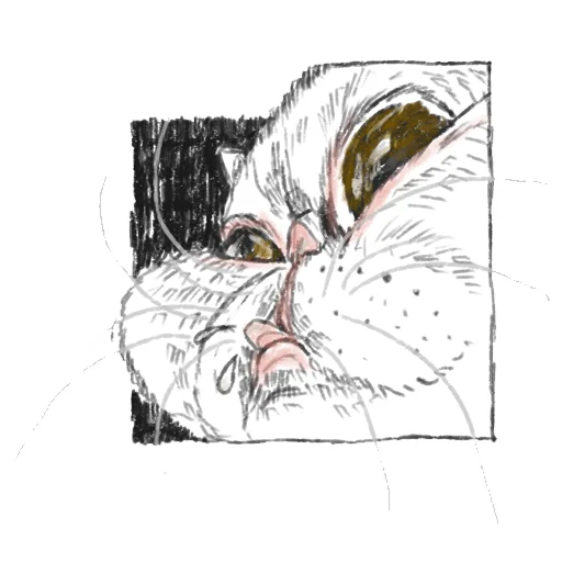 👅 Стикер «Emotional animals» для Telegram