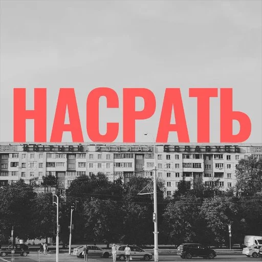 💩 Стикер «Emotional Phrases» для Telegram